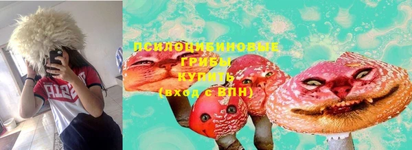 СК Абдулино