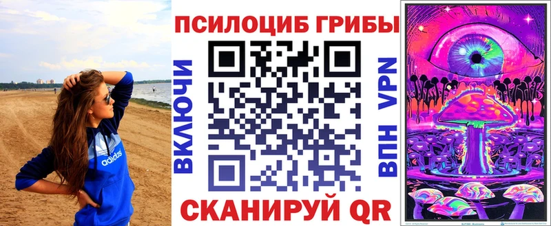 Псилоцибиновые грибы Psilocybine cubensis Новосибирск
