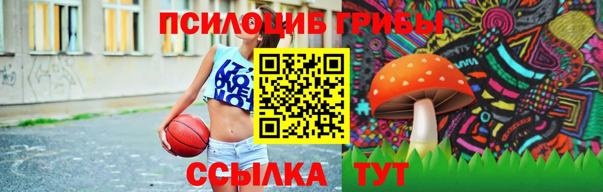 Галлюциногенные грибы мухоморы Новосибирск