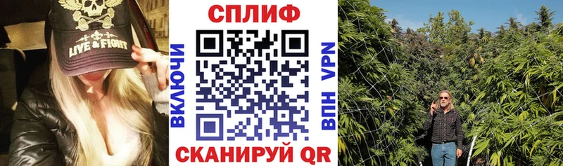 где купить наркотик  Новосибирск  Бошки марихуана Ganja 